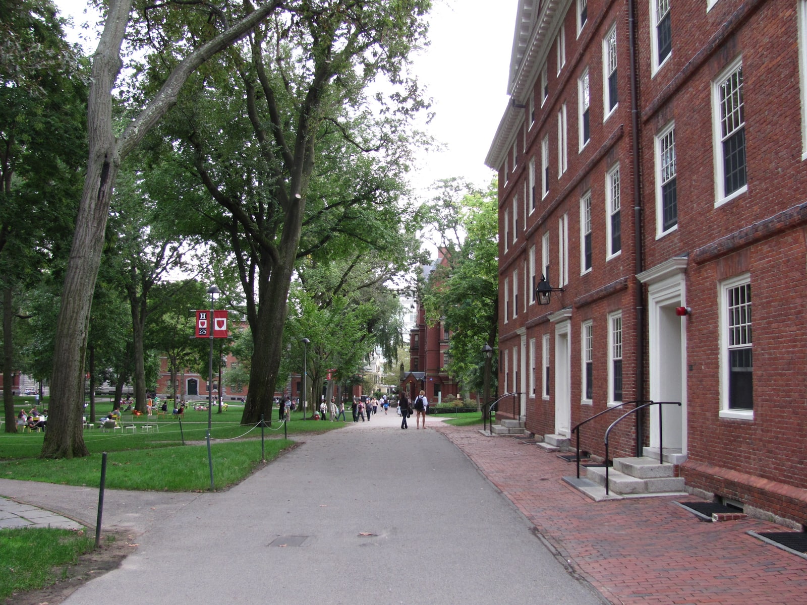 Tree-lined path and historic red brick buildings in Harvard Yard, Cambridge